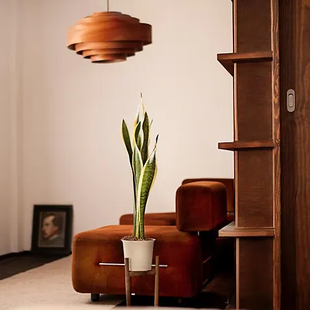 Casa Boumort 호텔
